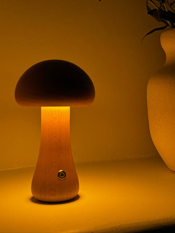 Mushroom Light